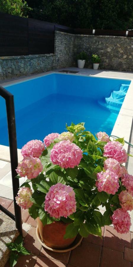 Holiday Arboretum Apartment *